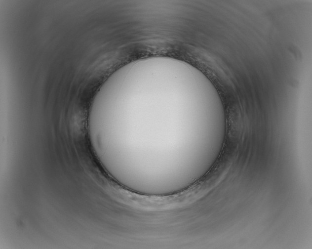 X0000112050034200908181146