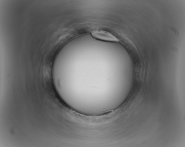 X0000112050035200908181146