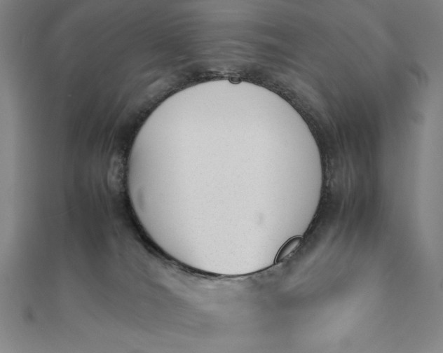 X0000112050036200908181146