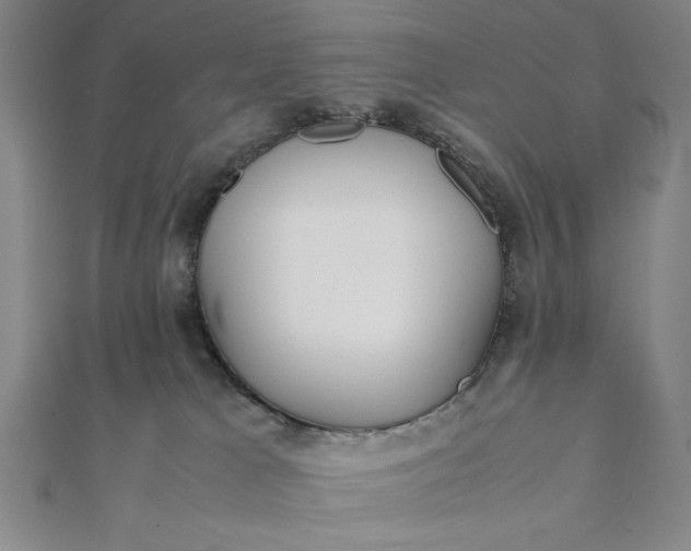 X0000112050037200908181146