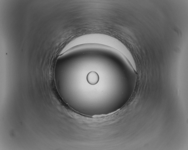 X0000112050039200908181146