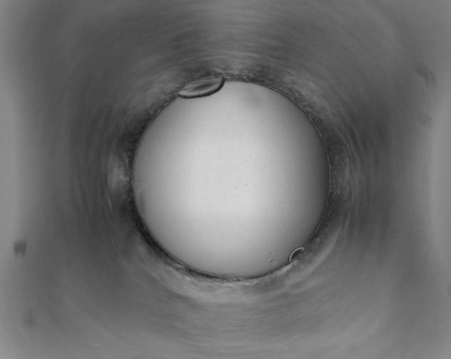 X0000112050040200908181146