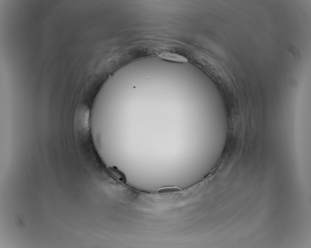 X0000112050041200908181146