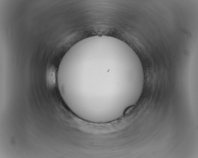 X0000112050042200908181146