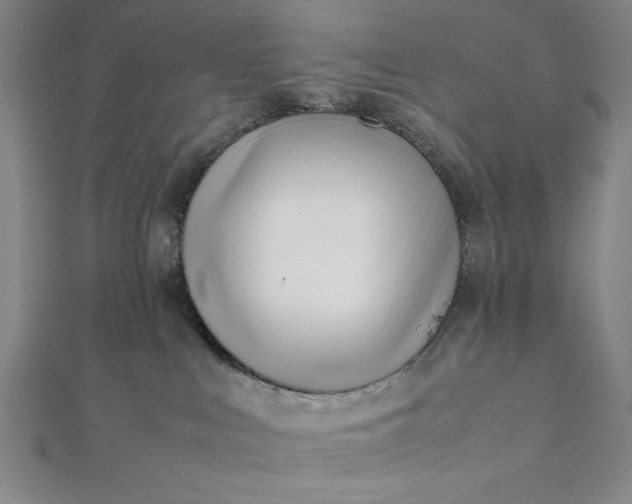 X0000112050043200908181145