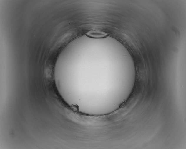 X0000112050044200908181145