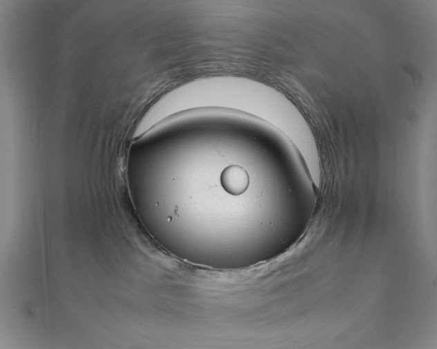 X0000112050045200908181145