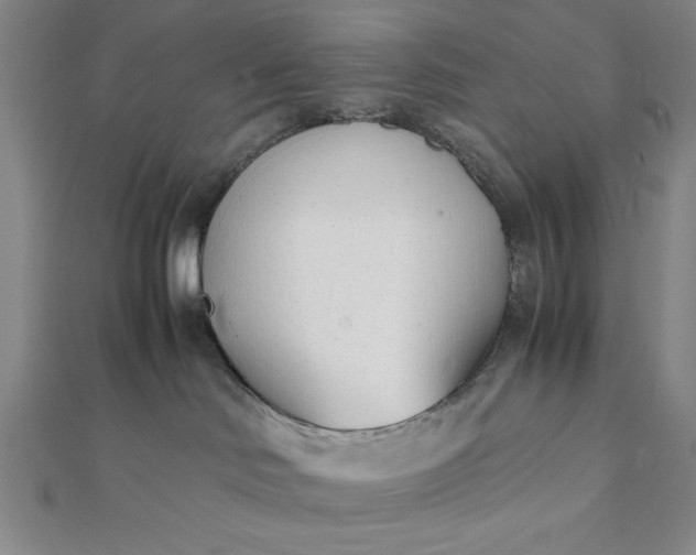 X0000112050046200908181145