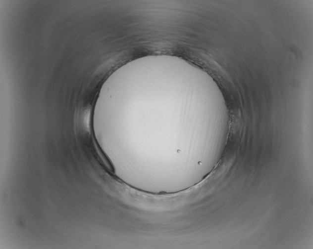 X0000112050047200908181145