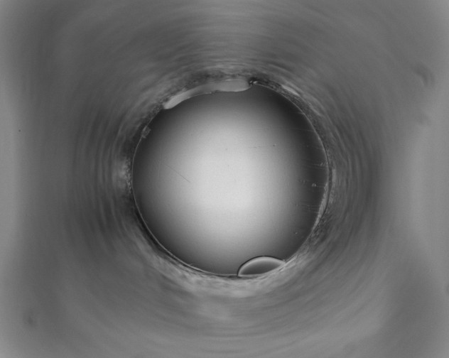 X0000112050048200908181145