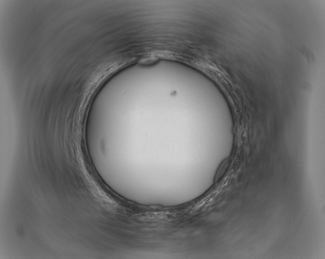 X0000112050049200908181145