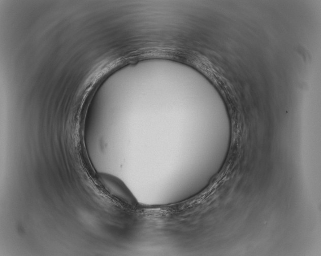 X0000112050050200908181145