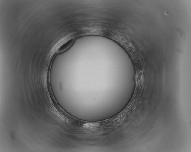 X0000112050051200908181145