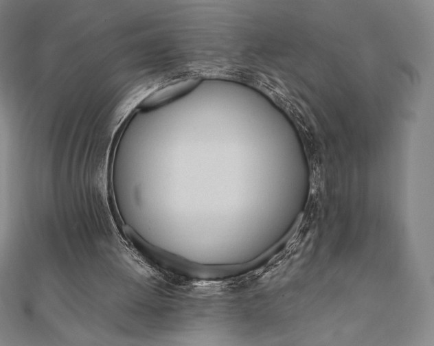 X0000112050052200908181145