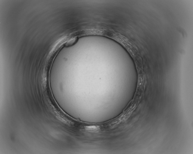 X0000112050053200908181145