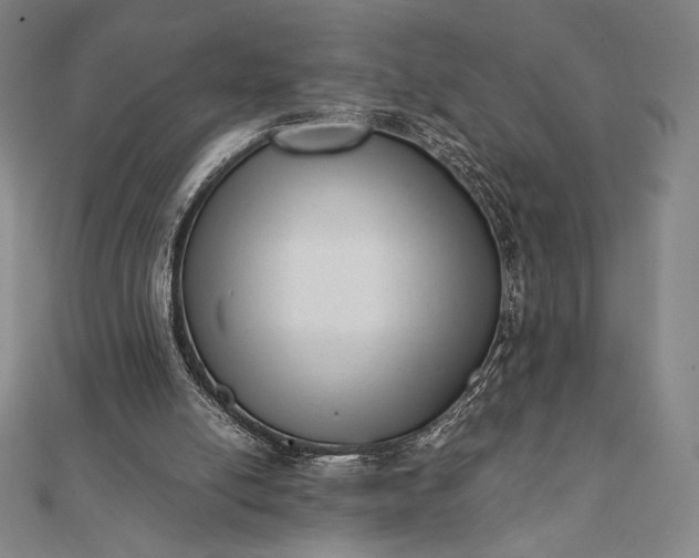 X0000112050054200908181145