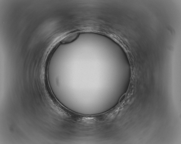 X0000112050055200908181145