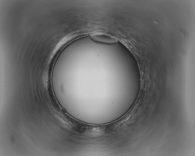 X0000112050056200908181145