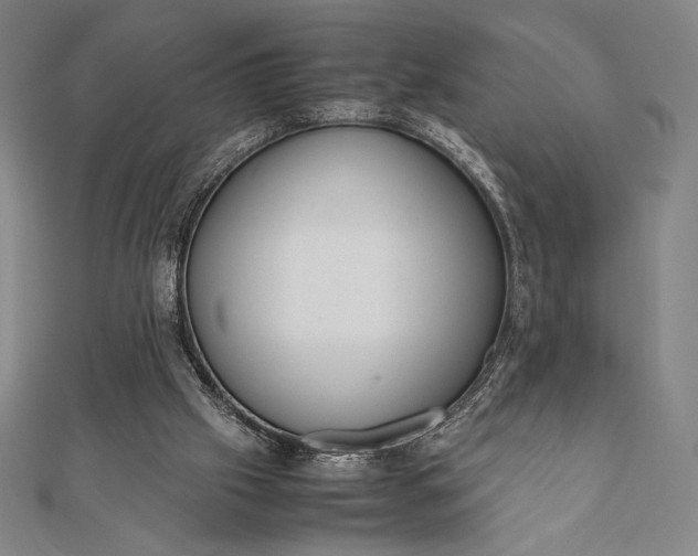 X0000112050057200908181145