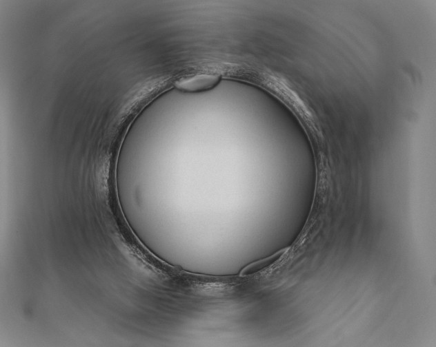 X0000112050058200908181145