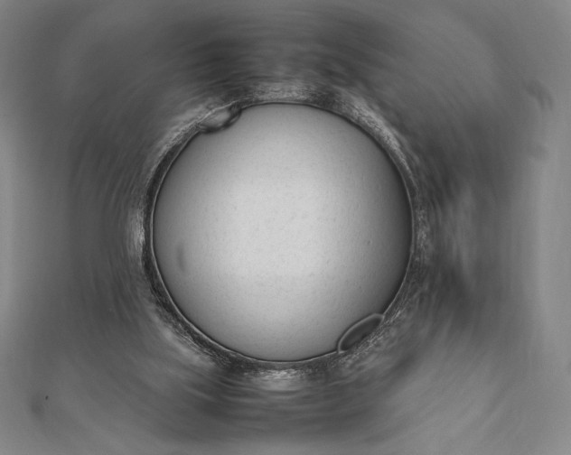 X0000112050059200908181145