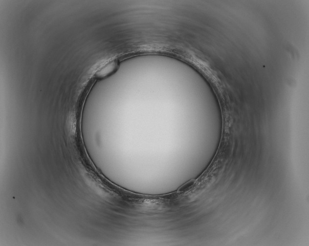 X0000112050060200908181145