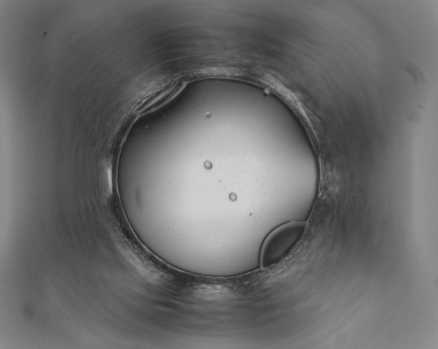 X0000112050061200908181145