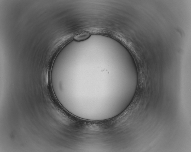 X0000112050062200908181145