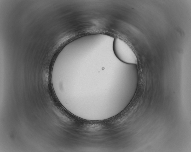 X0000112050063200908181145