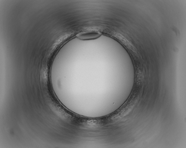 X0000112050064200908181145