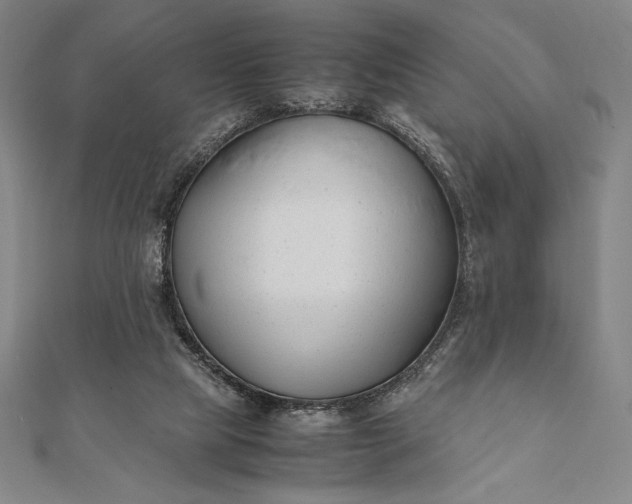 X0000112050065200908181145