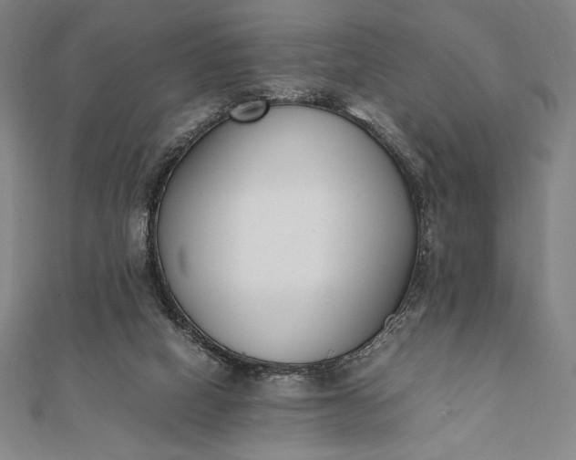 X0000112050066200908181145