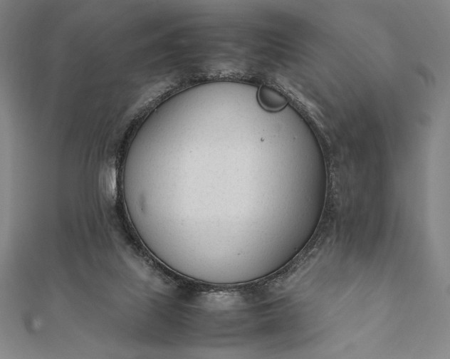 X0000112050067200908181145