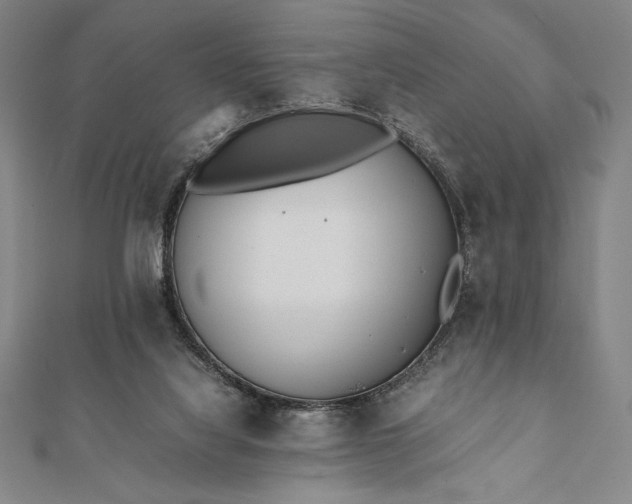 X0000112050068200908181145