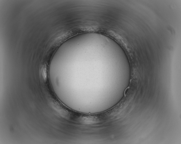 X0000112050069200908181145