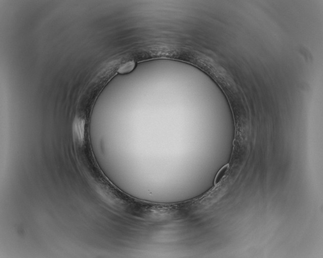 X0000112050070200908181145