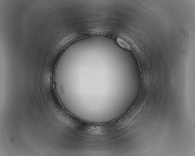 X0000112050071200908181145