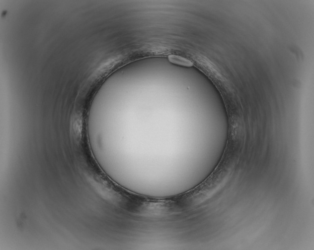 X0000112050072200908181145