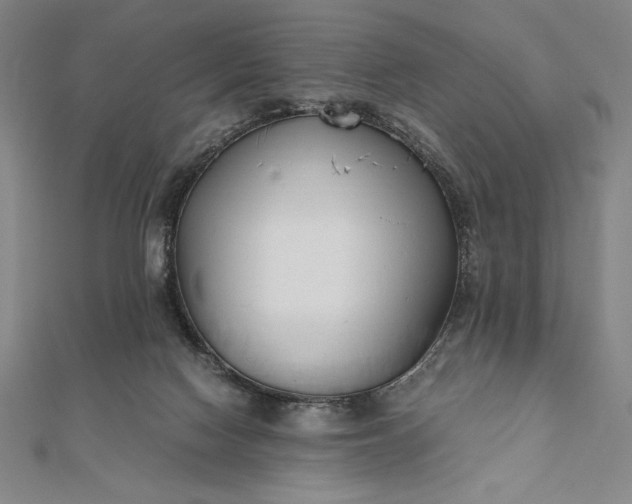 X0000112050074200908181145