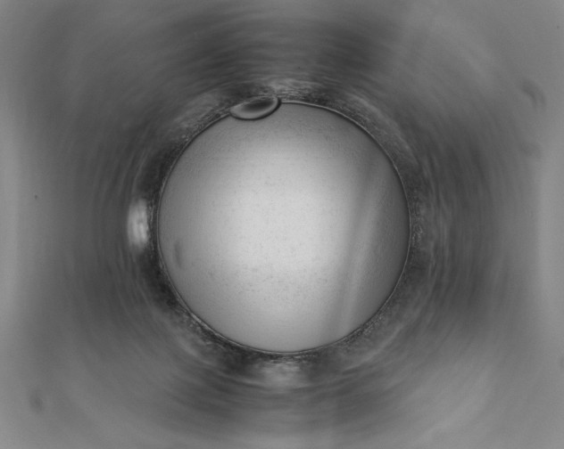 X0000112050075200908181145