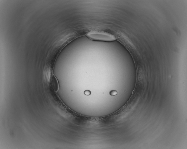 X0000112050076200908181145