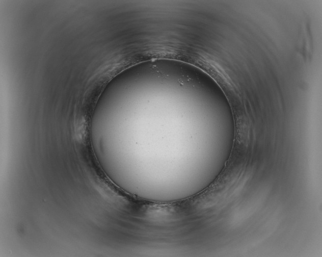 X0000112050077200908181145