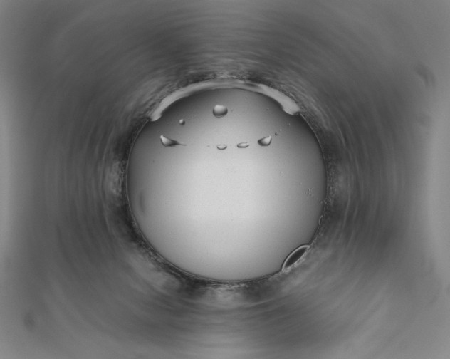 X0000112050078200908181145