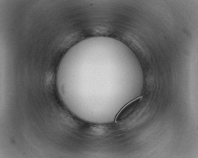 X0000112050079200908181145