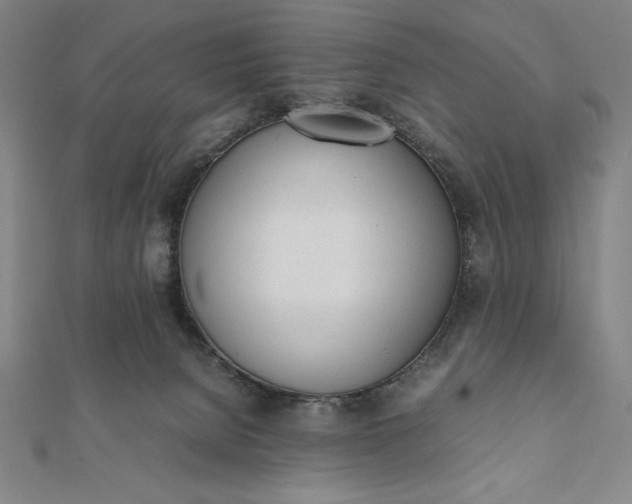 X0000112050080200908181145