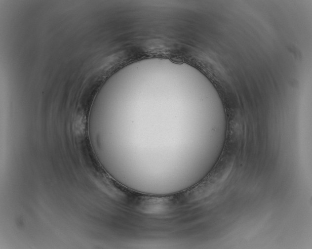 X0000112050081200908181145