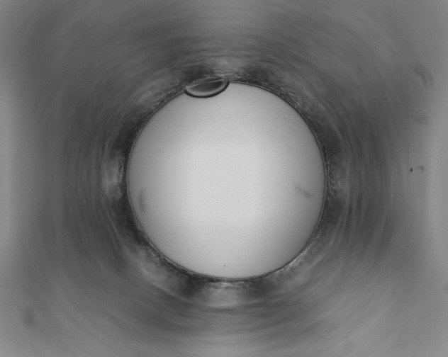 X0000112050082200908181145