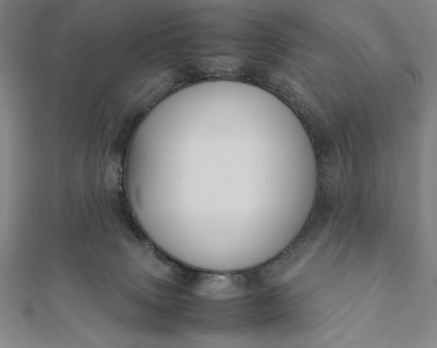 X0000112050083200908181145