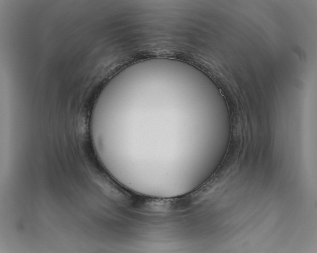 X0000112050084200908181145