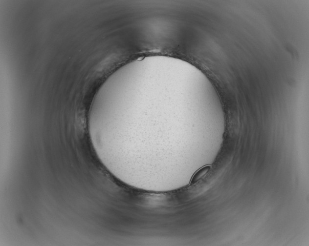 X0000112050085200908181145